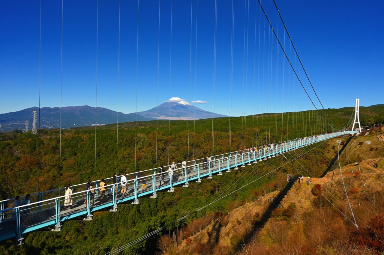 日本一長い歩行者用吊り橋を渡ってきた。全長400mの三島スカイウォーク！